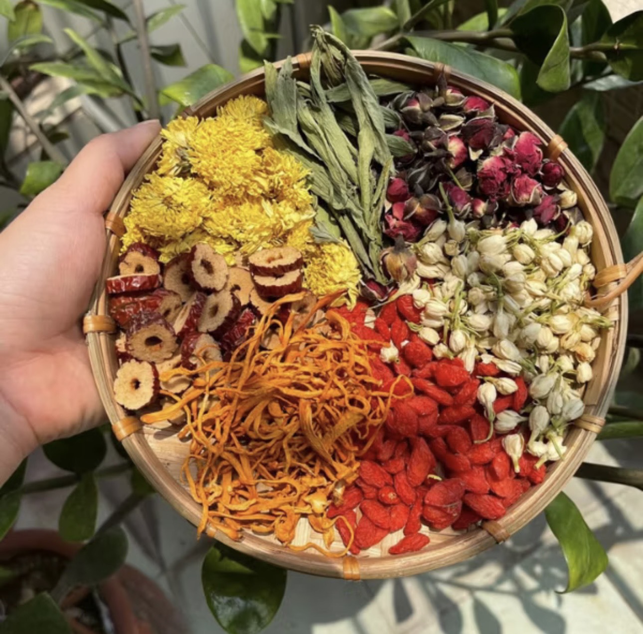 Trà đông trùng 7 vị